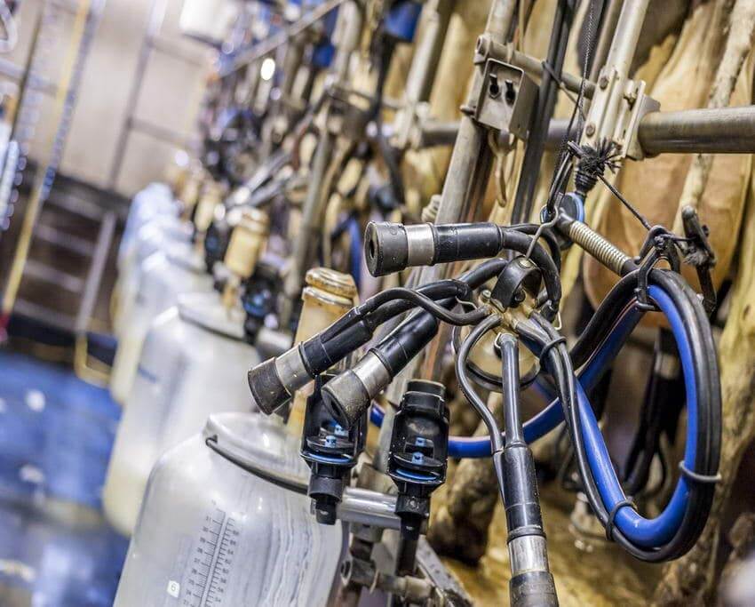 silikon_anwendung_farmtechnik-Lindemann-Silikon